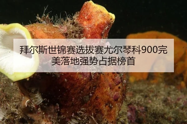 bai-er-si-shi-jin-sai-xuan-ba-sai-you-er-qin-ke-wan-mei-luo-di-qiang-shi-zhan-ju-bang-shou-3-646.jpg